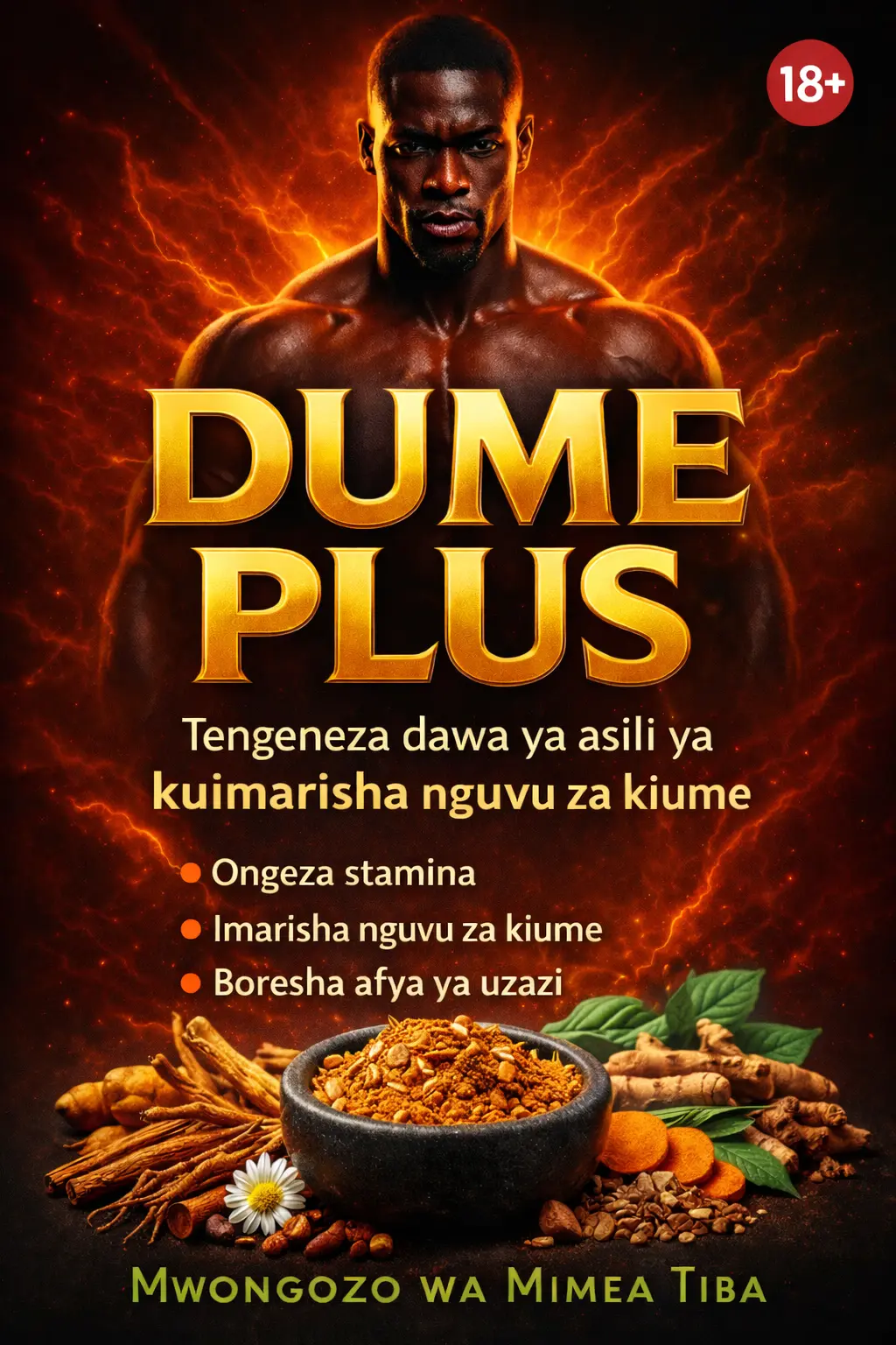 Mwongozo Cover